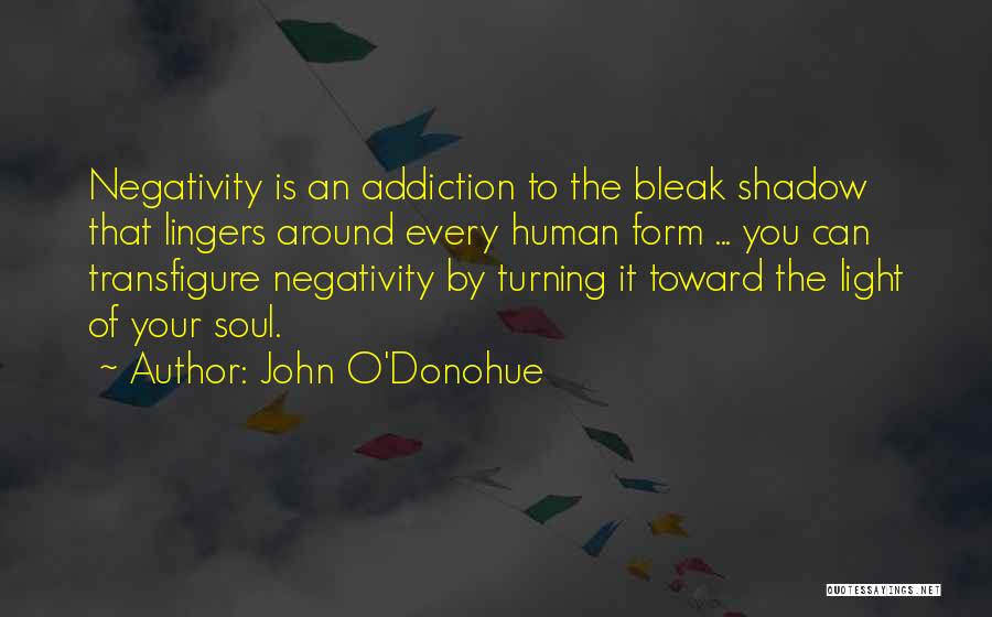 Transfigure Quotes By John O'Donohue