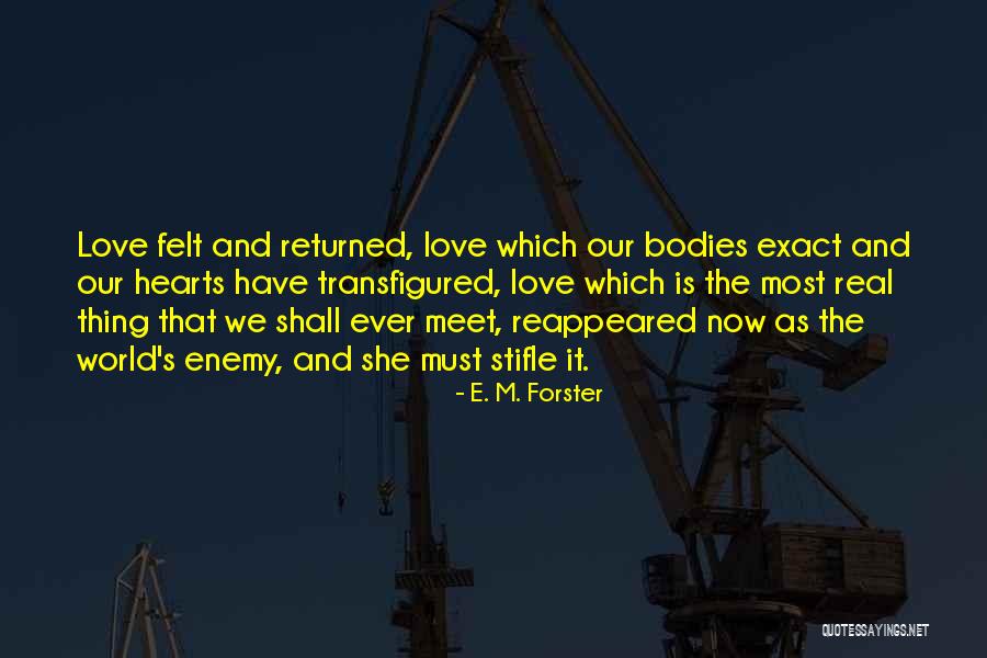 Transfigured Quotes By E. M. Forster