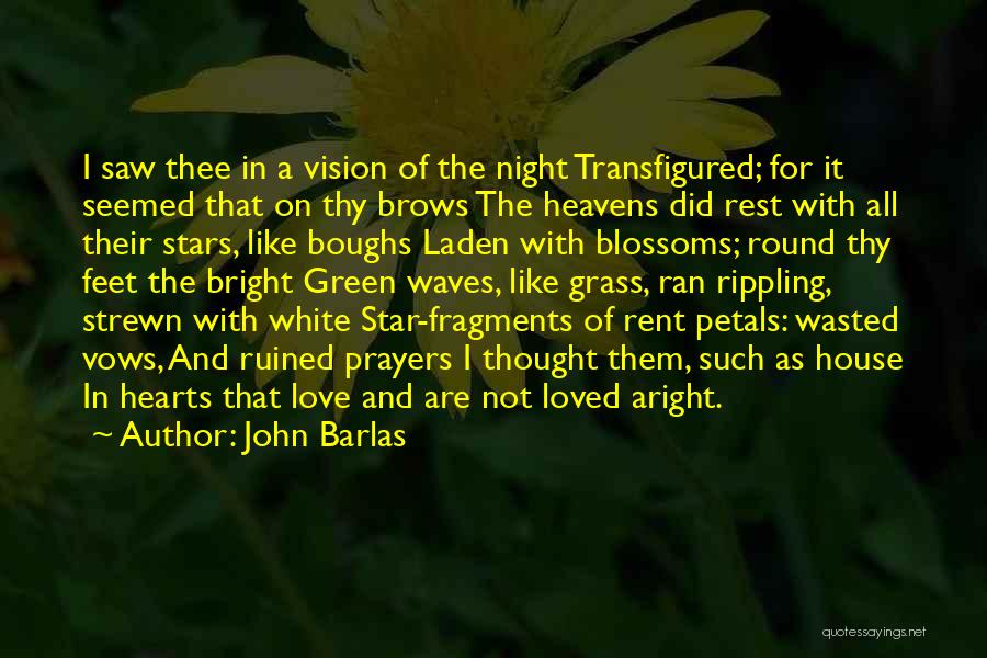 Transfigured Quotes By John Barlas