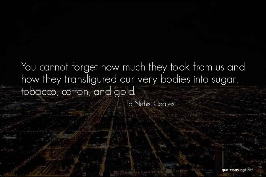 Transfigured Quotes By Ta-Nehisi Coates