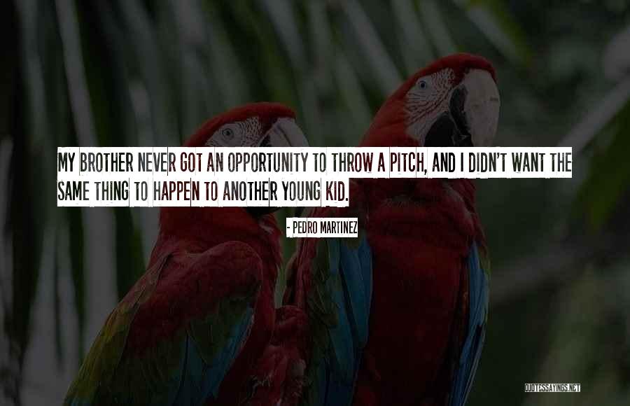 Transfixes Quotes By Pedro Martinez Transfixes Quotes By Pedro Martinez