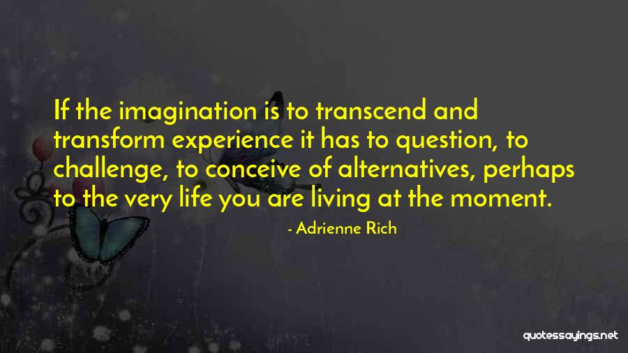 Transform And Transcend Quotes By Adrienne Rich Transform And Transcend Quotes By Adrienne Rich