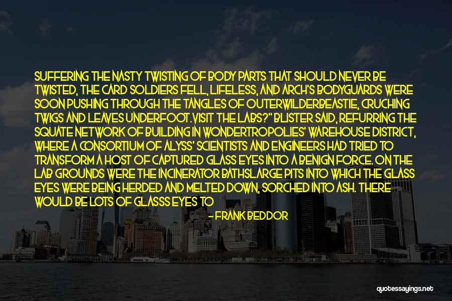 Transform Quotes By Frank Beddor Transform Quotes By Frank Beddor