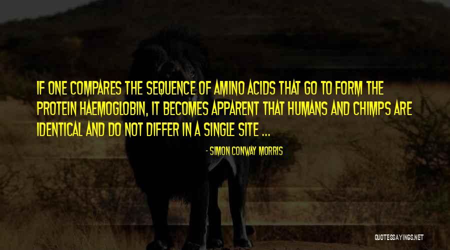 Transformando Sinonimo Quotes By Simon Conway Morris Transformando Sinonimo Quotes By Simon Conway Morris
