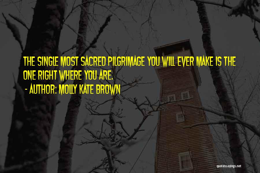 Transformational Quotes By Molly Kate Brown