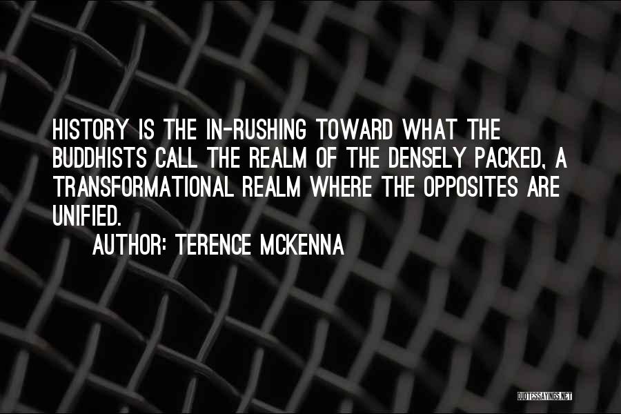 Transformational Quotes By Terence McKenna