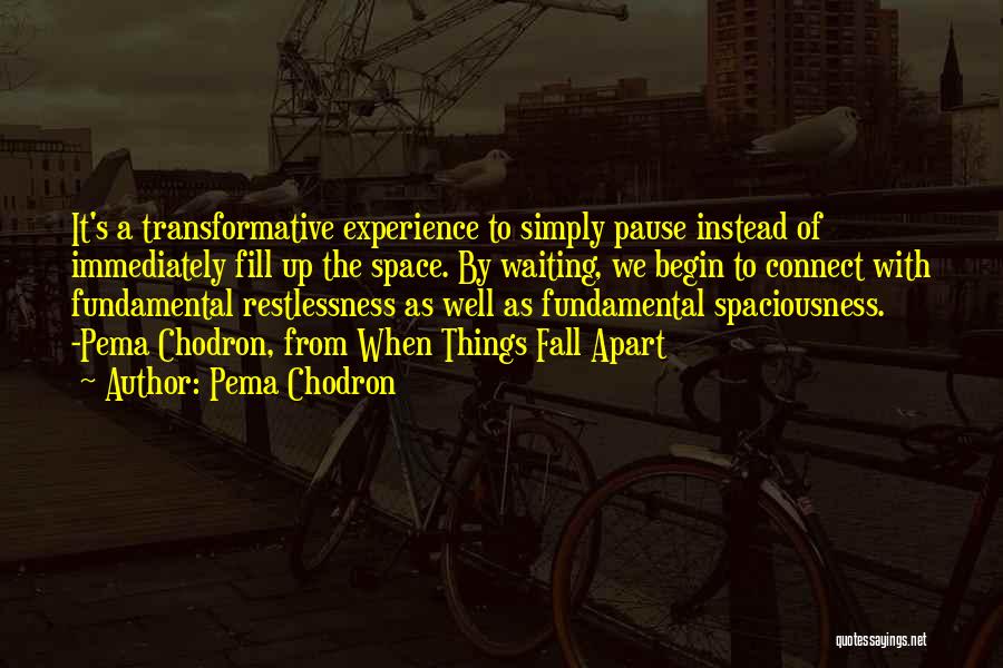 Transformative Quotes By Pema Chodron