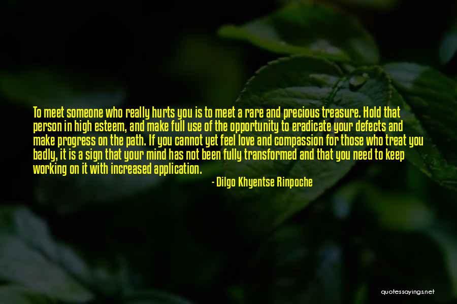 Transformed Mind Quotes By Dilgo Khyentse Rinpoche Transformed Mind Quotes By Dilgo Khyentse Rinpoche