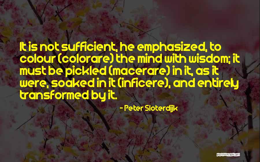 Transformed Mind Quotes By Peter Sloterdijk Transformed Mind Quotes By Peter Sloterdijk