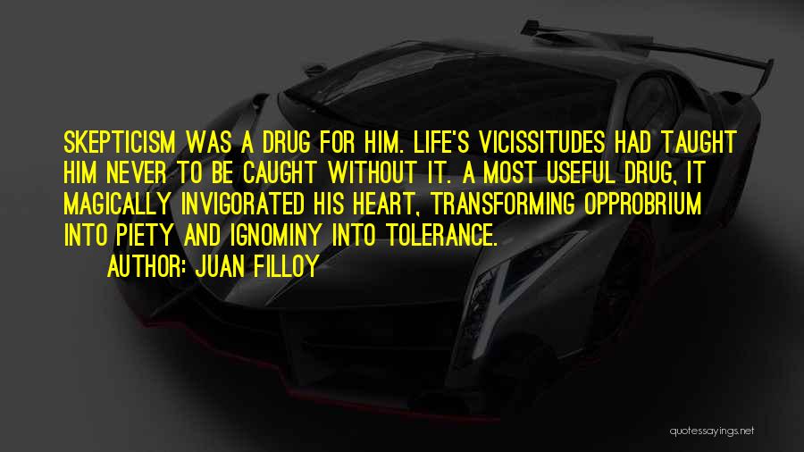 Transforming Your Life Quotes By Juan Filloy