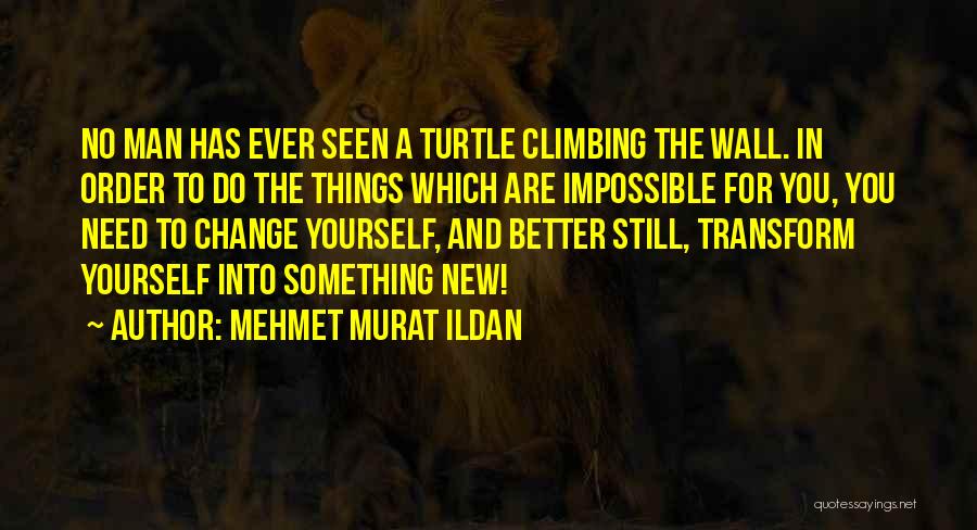 Transforming Your Life Quotes By Mehmet Murat Ildan