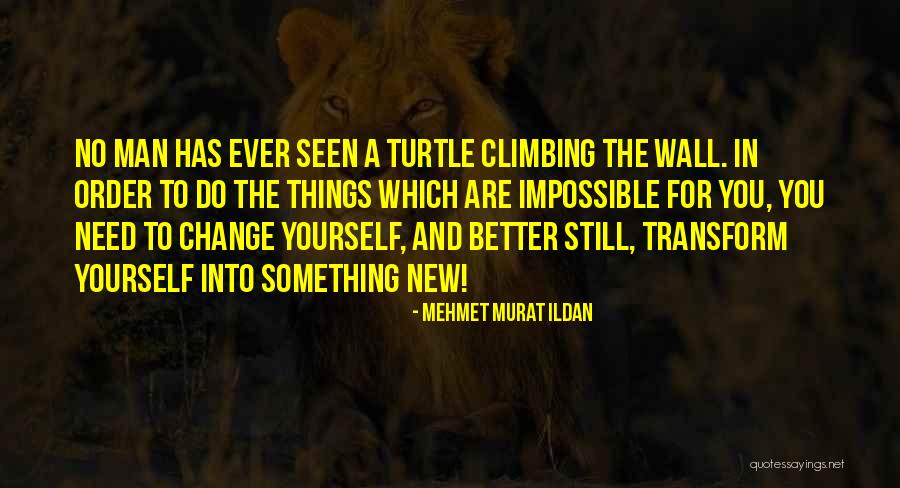 Transforming Your Life Quotes By Mehmet Murat Ildan