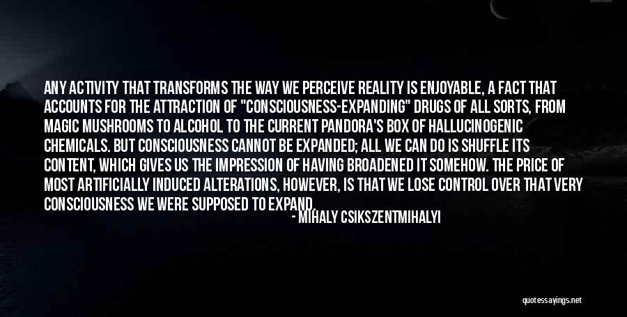 Transforms Are Expanded Quotes By Mihaly Csikszentmihalyi Transforms Are Expanded Quotes By Mihaly Csikszentmihalyi