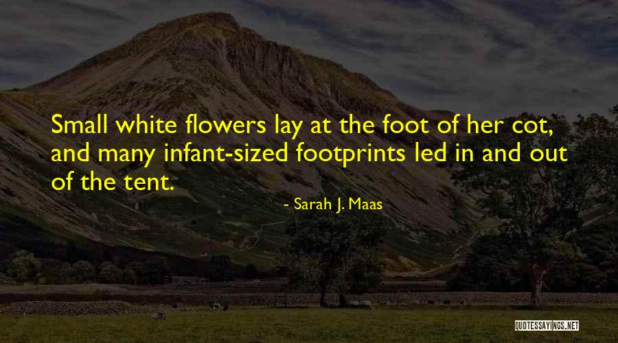 Transfuzija Kragujevac Quotes By Sarah J. Maas Transfuzija Kragujevac Quotes By Sarah J. Maas