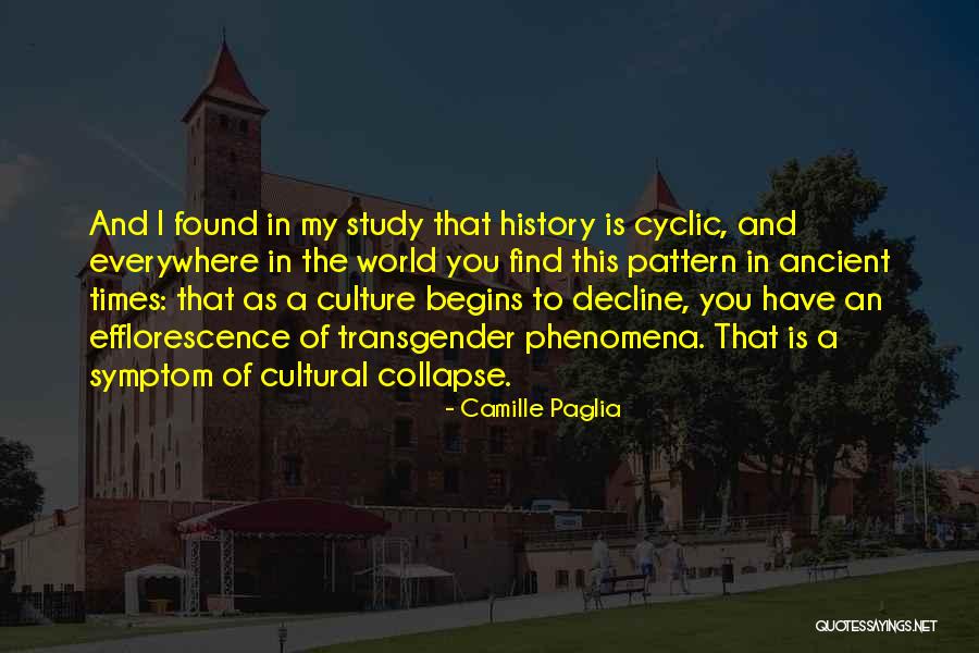 Transgender History Quotes By Camille Paglia Transgender History Quotes By Camille Paglia