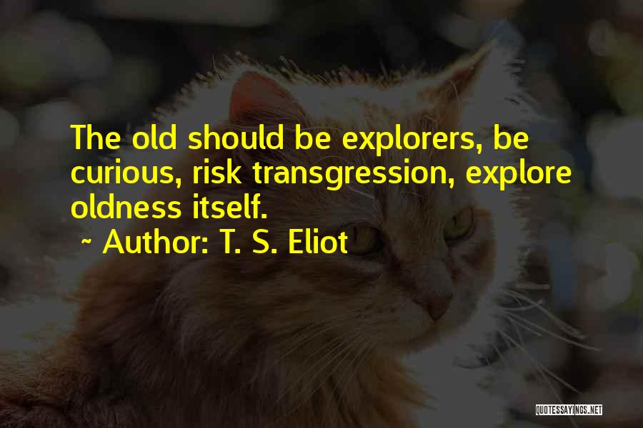 Transgression Quotes By T. S. Eliot