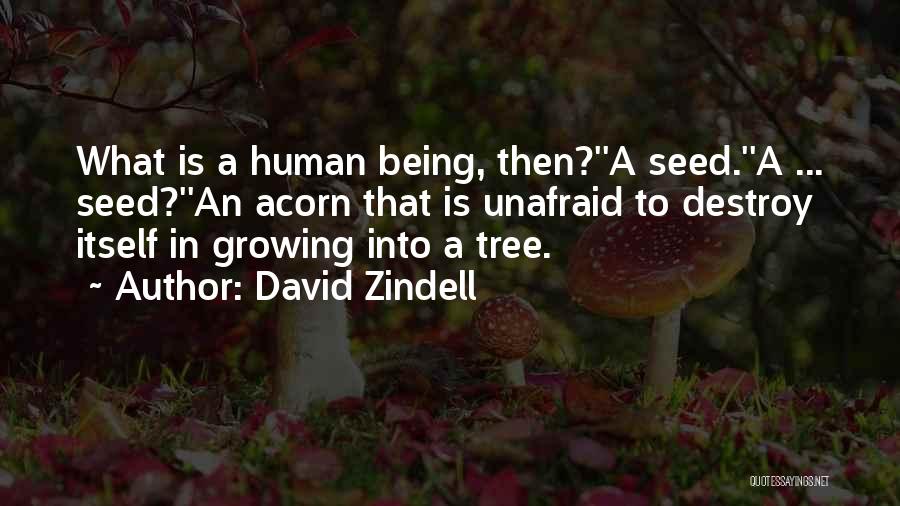Transhumanism Quotes By David Zindell