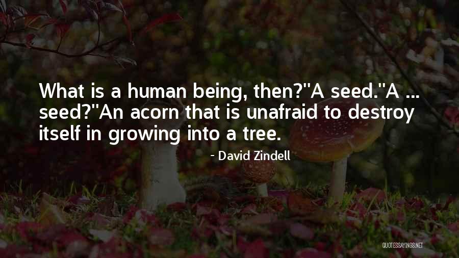 Transhumanism Quotes By David Zindell