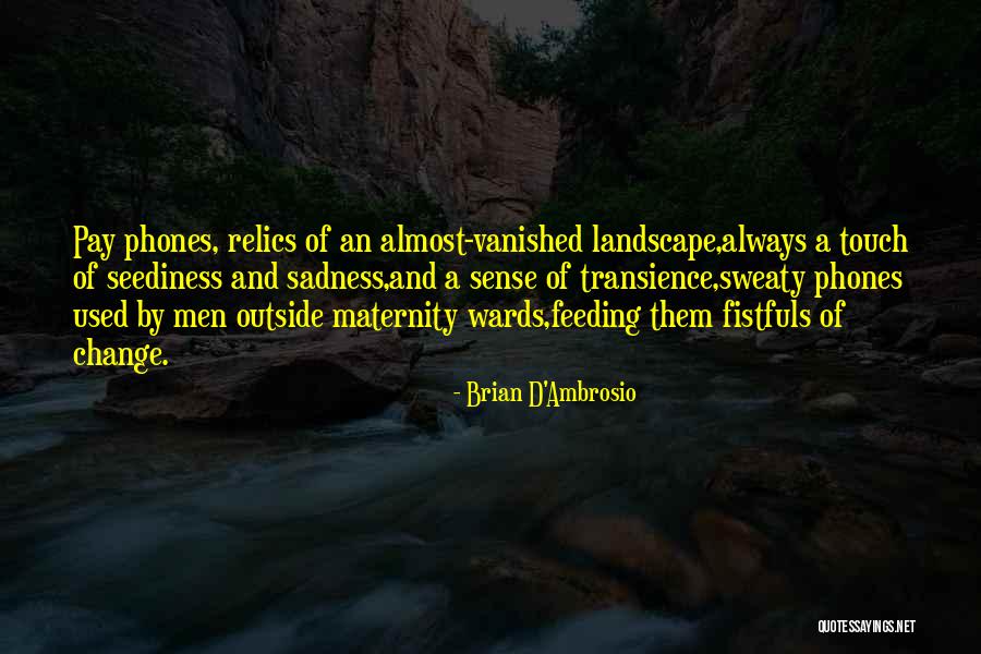 Transience Quotes By Brian D'Ambrosio Transience Quotes By Brian D'Ambrosio
