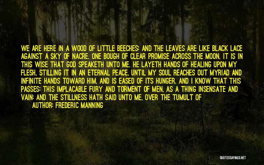 Transience Quotes By Frederic Manning