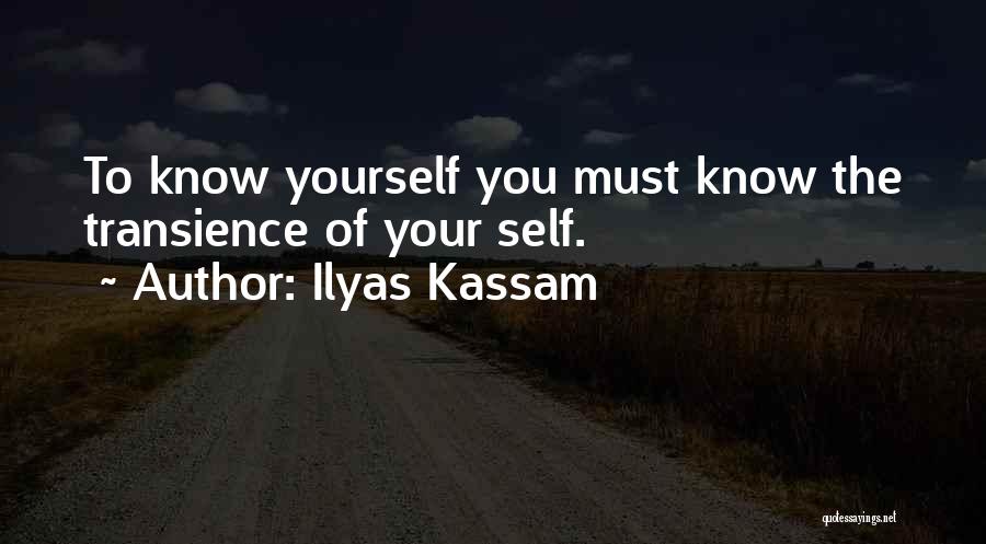 Transience Quotes By Ilyas Kassam
