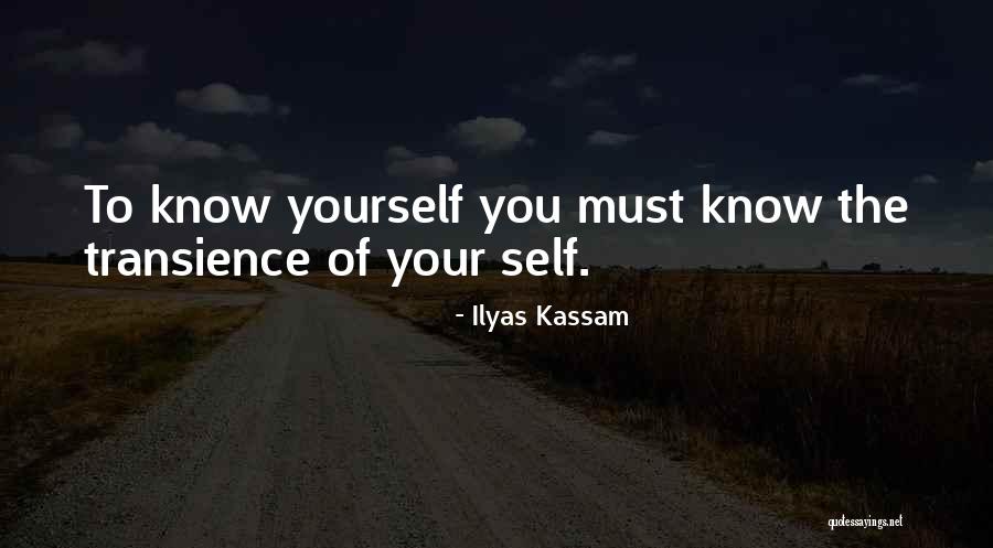 Transience Quotes By Ilyas Kassam