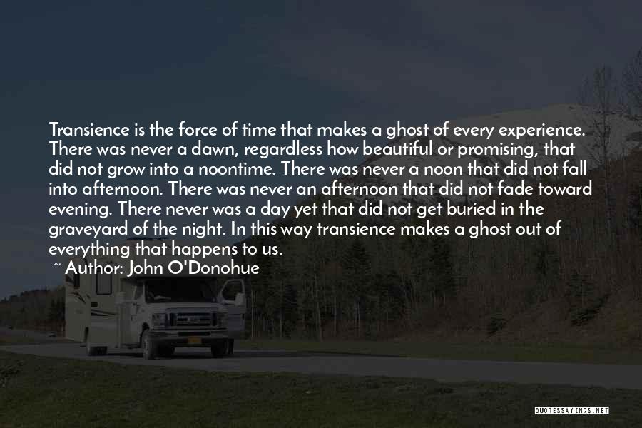Transience Quotes By John O'Donohue