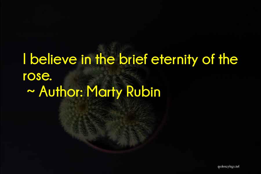 Transience Quotes By Marty Rubin