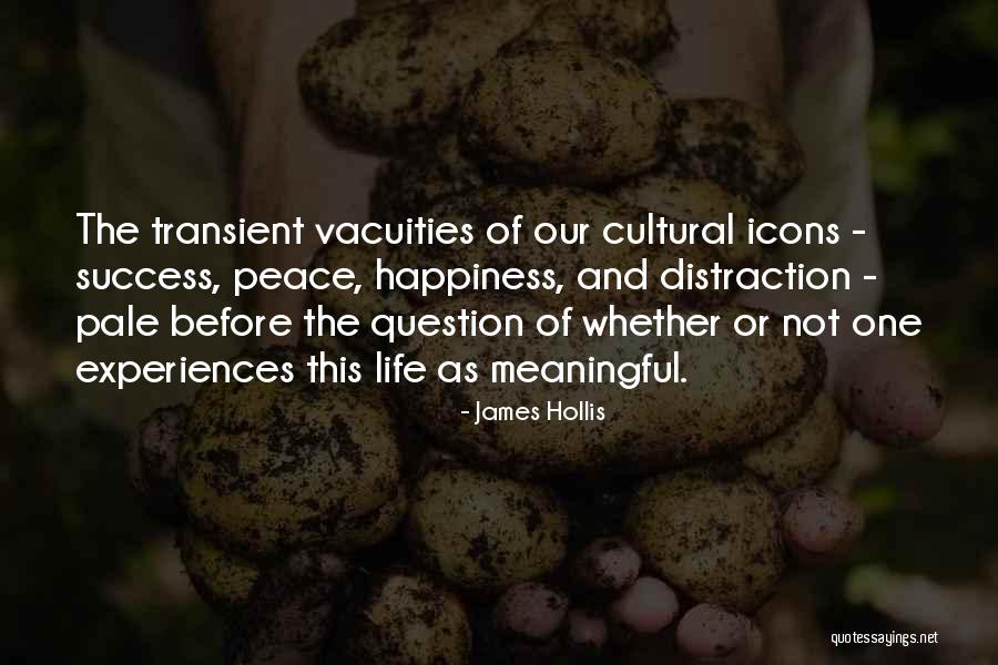Transient Life Quotes By James Hollis Transient Life Quotes By James Hollis