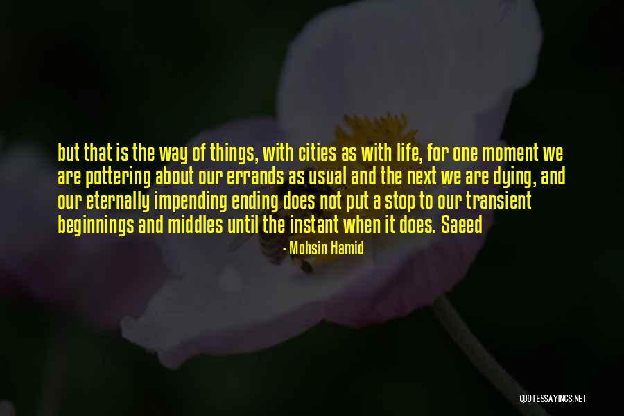Transient Life Quotes By Mohsin Hamid Transient Life Quotes By Mohsin Hamid