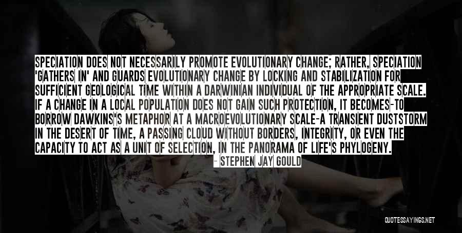 Transient Life Quotes By Stephen Jay Gould Transient Life Quotes By Stephen Jay Gould
