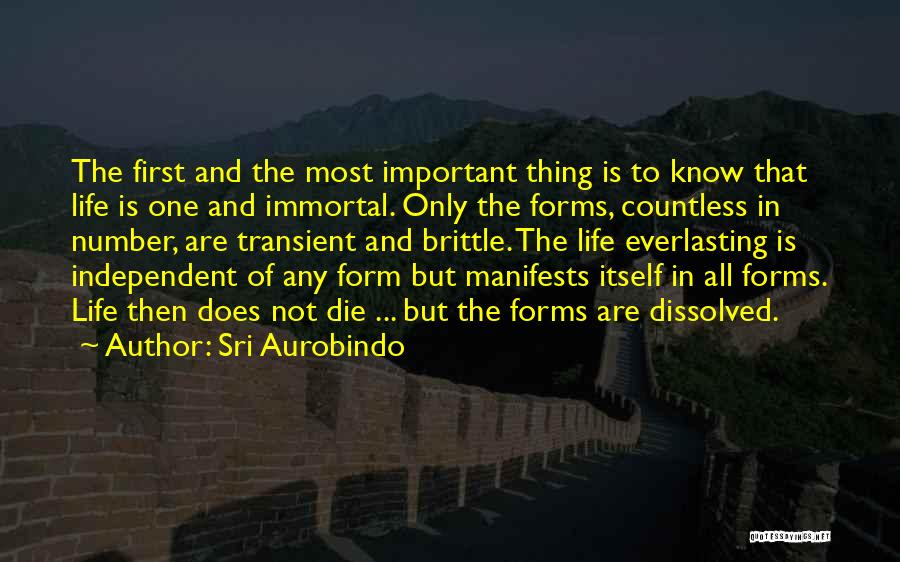 Transient Quotes By Sri Aurobindo