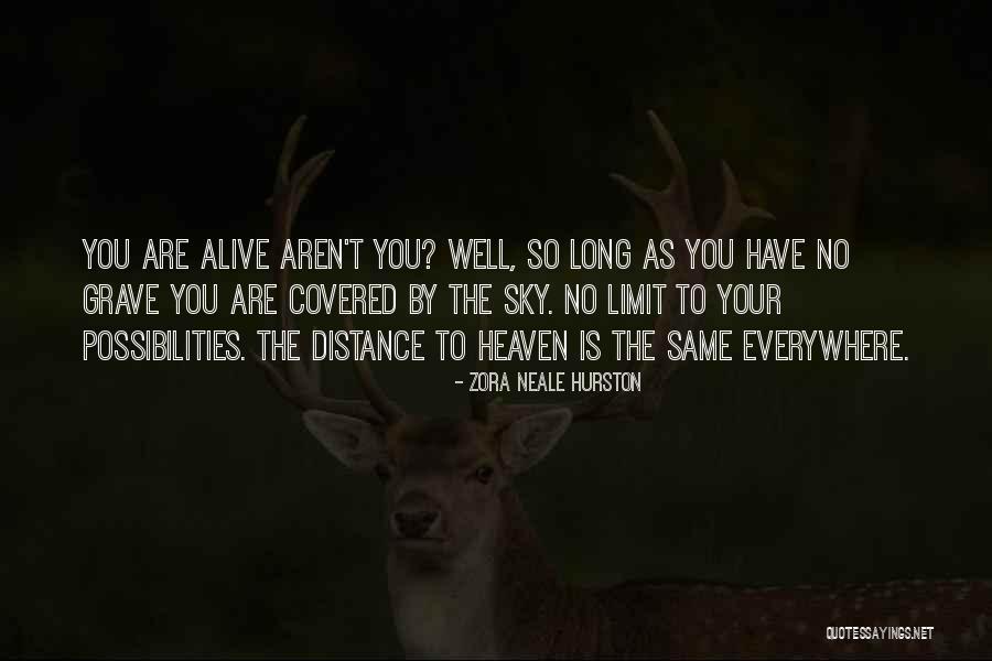 Transigir Sinonimos Quotes By Zora Neale Hurston Transigir Sinonimos Quotes By Zora Neale Hurston