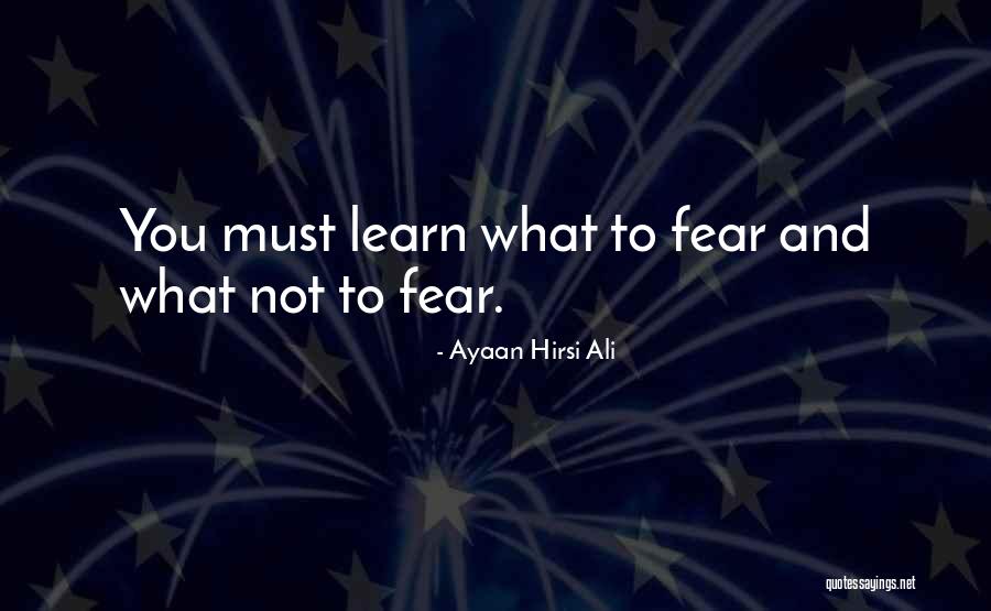 Transistors In Computers Quotes By Ayaan Hirsi Ali Transistors In Computers Quotes By Ayaan Hirsi Ali