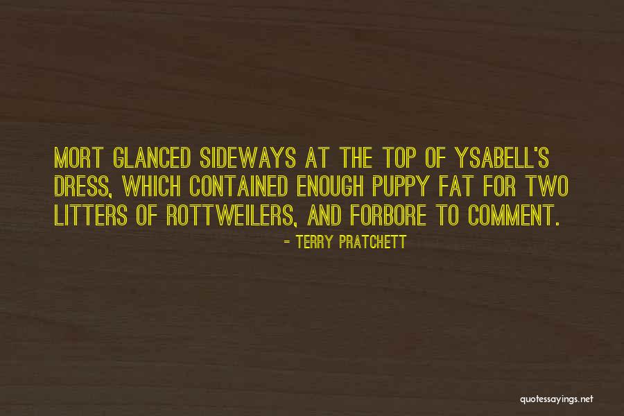 Transistors In Computers Quotes By Terry Pratchett Transistors In Computers Quotes By Terry Pratchett