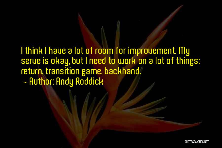 Transition At Work Quotes By Andy Roddick