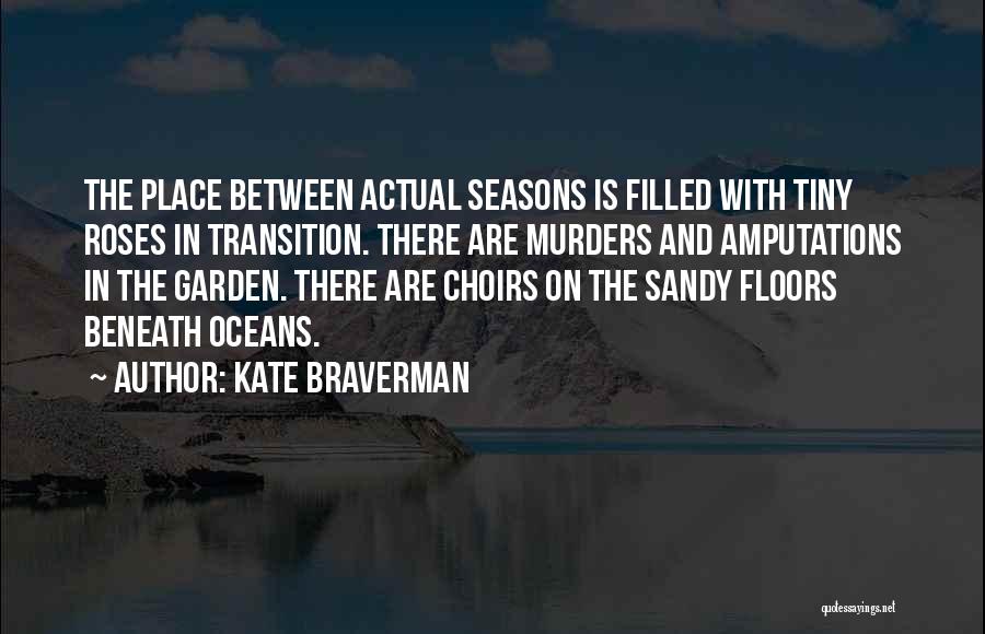 Transition In Between Quotes By Kate Braverman