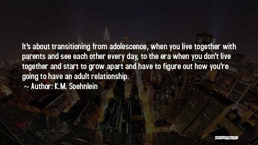 Transitioning Into Quotes By K.M. Soehnlein