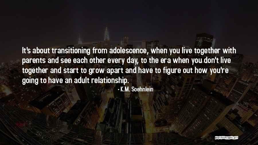 Transitioning Into Quotes By K.M. Soehnlein Transitioning Into Quotes By K.M. Soehnlein