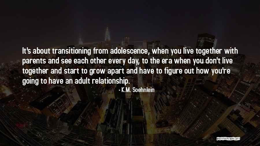 Transitioning Into Quotes By K.M. Soehnlein