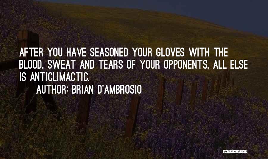 Transitions Quotes By Brian D'Ambrosio