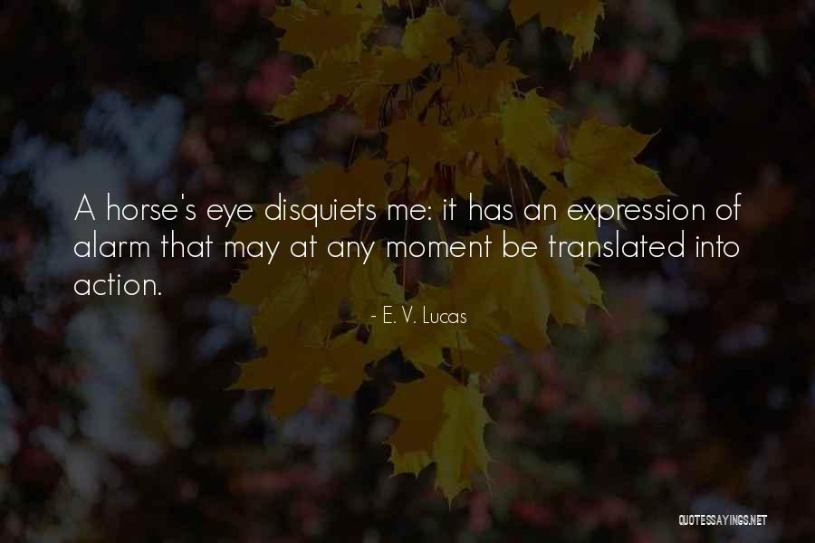 Translated Quotes By E. V. Lucas Translated Quotes By E. V. Lucas