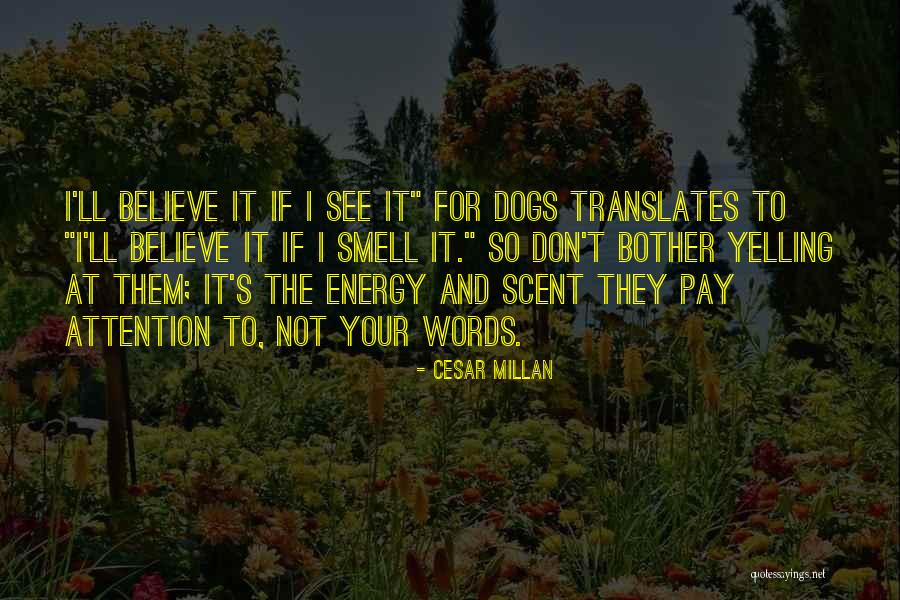 Translates To Quotes By Cesar Millan Translates To Quotes By Cesar Millan
