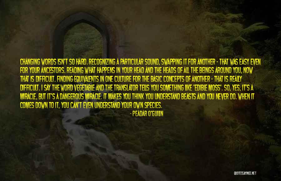 Translation And Culture Quotes By Peadar O'Guilin Translation And Culture Quotes By Peadar O'Guilin