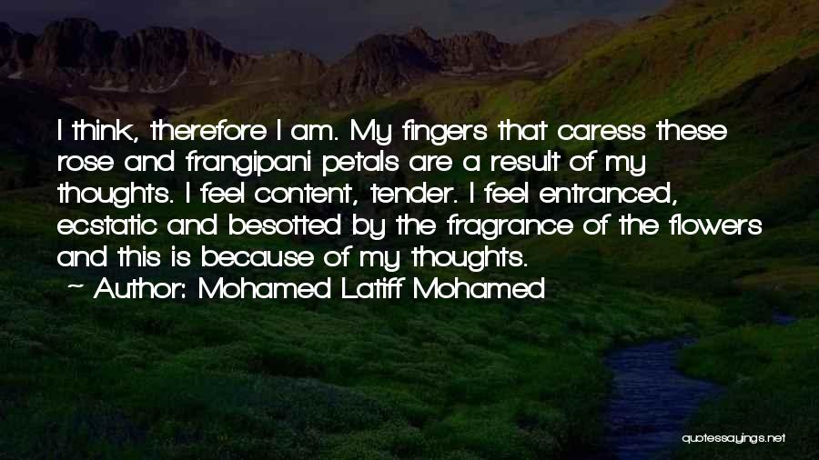 Translation Books Quotes By Mohamed Latiff Mohamed