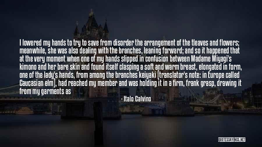 Translator S Note Quotes By Italo Calvino