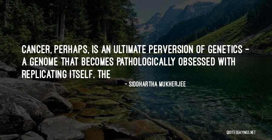 Translators Funny Quotes By Siddhartha Mukherjee Translators Funny Quotes By Siddhartha Mukherjee