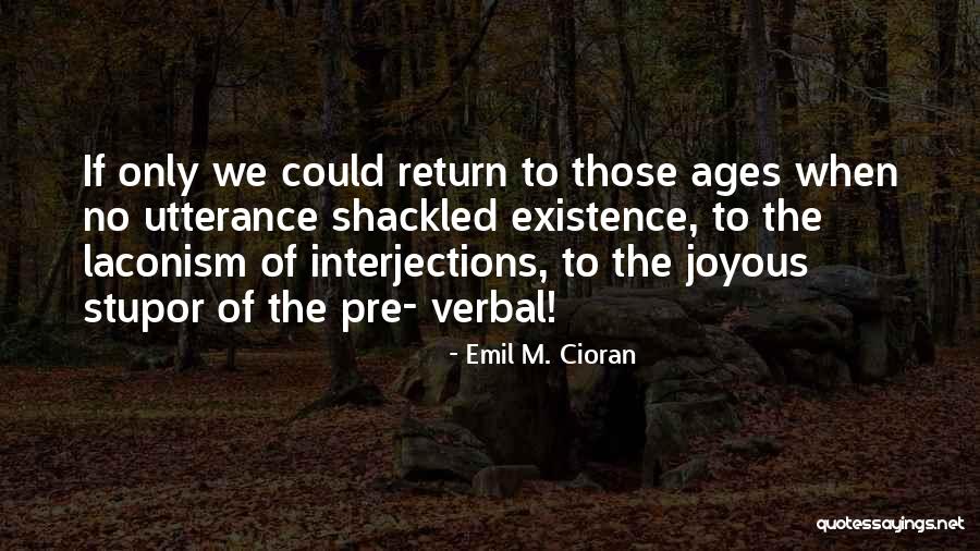 Translucent Glass Quotes By Emil M. Cioran Translucent Glass Quotes By Emil M. Cioran