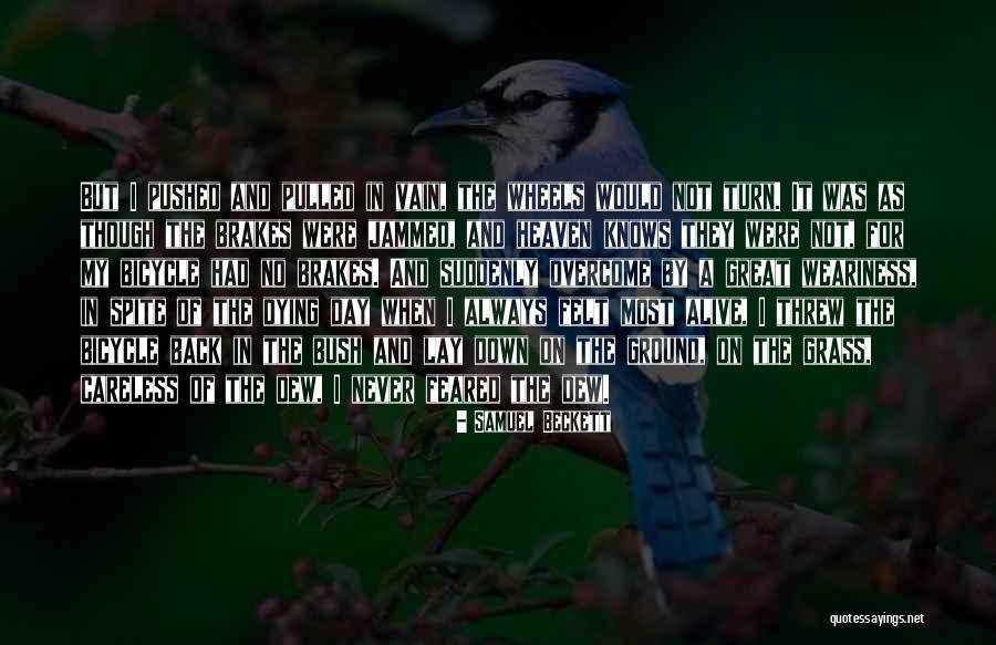 Transmigrating Into A Mob Quotes By Samuel Beckett Transmigrating Into A Mob Quotes By Samuel Beckett