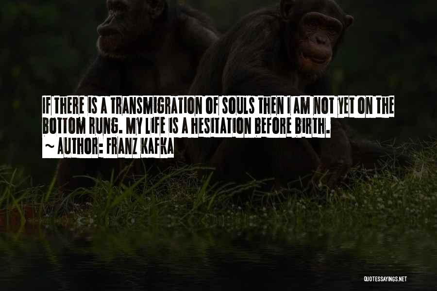 Transmigration Quotes By Franz Kafka